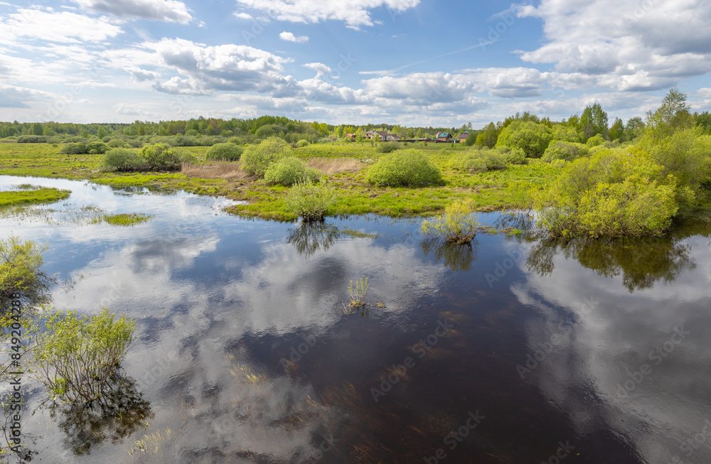 Obraz premium A spring river meanders gracefully through a lush forest, its crystal-clear waters reflecting the green foliage encircling its banks.