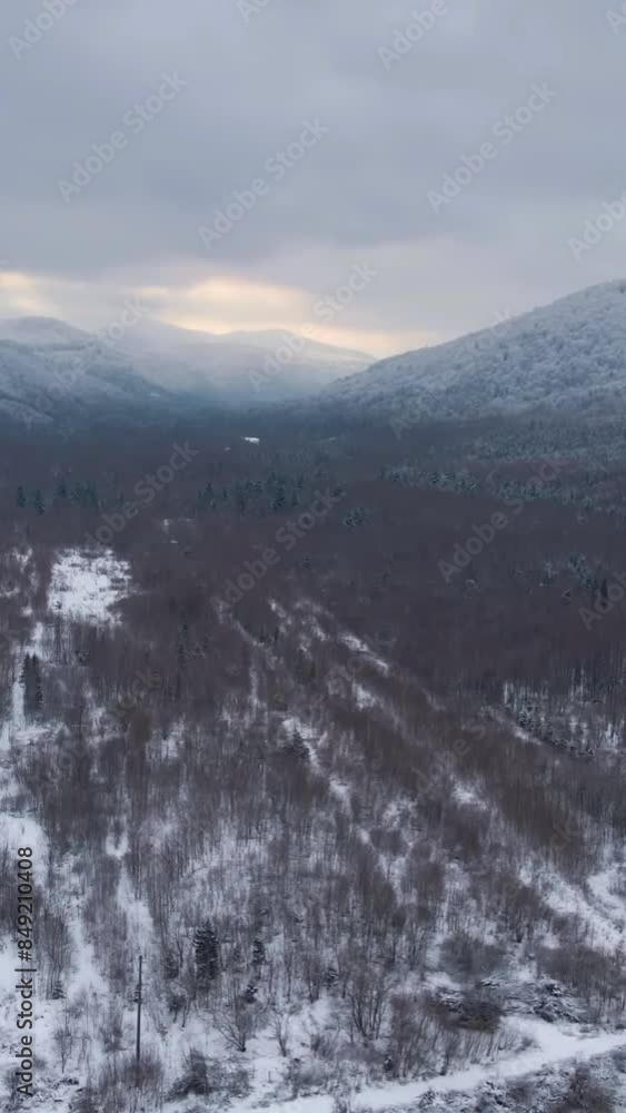 Aerial view of beautiful snow forrest during winter Aerial view of beautiful snow forrest during winter