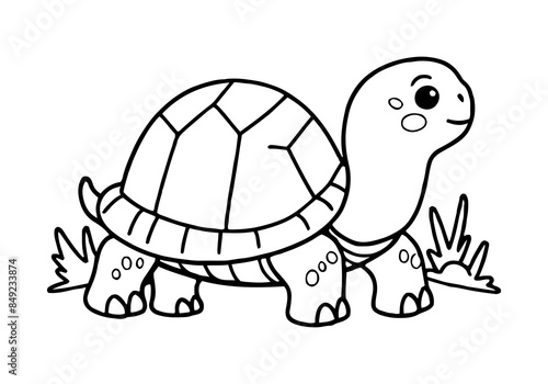 Coloring pages for kids of a turtle