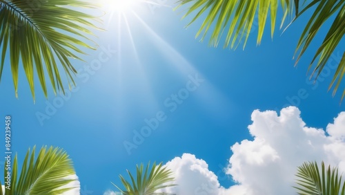 palm leaves on blue bright cloudy sky with sunshine bottom view, holiday background. 