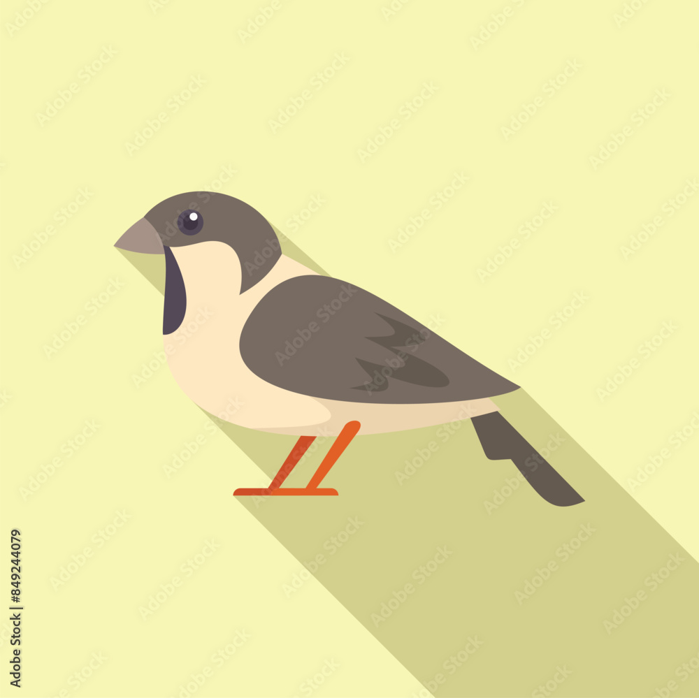 Small bird with grey and white feathers standing on a light yellow background Small bird with grey and white feathers standing on a light yellow background