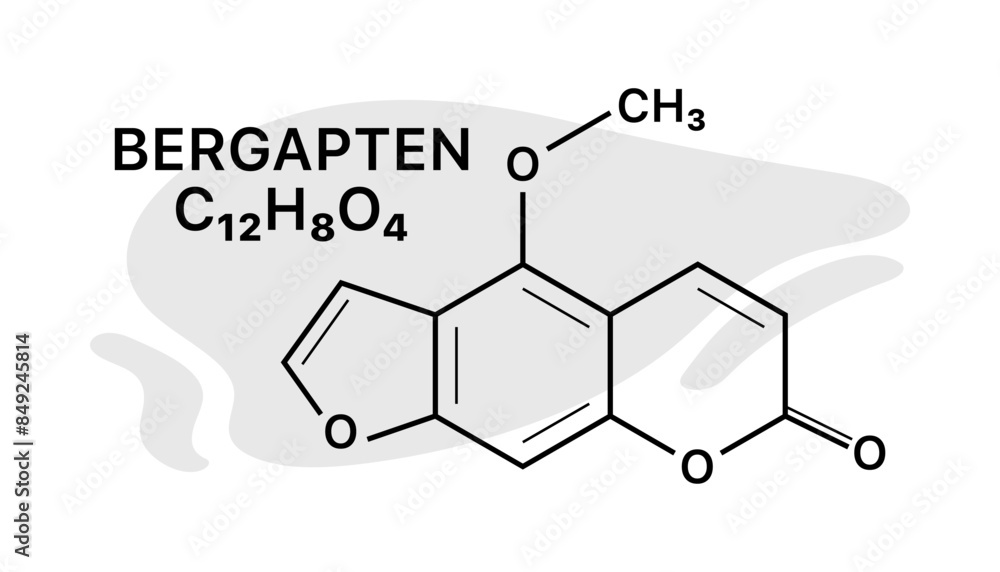 Bergapten C12H8O4 banner. Chemical element banner. Linear and flat styles. Vector illustration. Bergapten C12H8O4 banner. Chemical element banner. Linear and flat styles. Vector illustration.