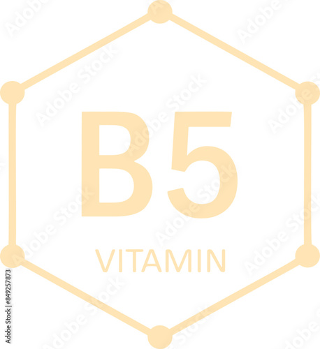 Vitamin b5 icon