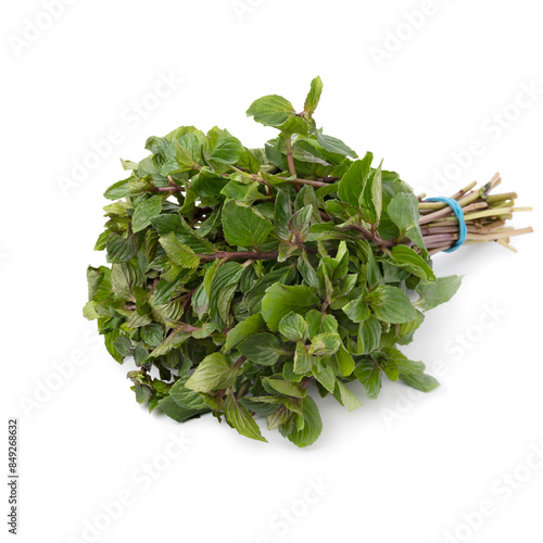 Bouquet of fresh picked green herbal mint isolated on white background
