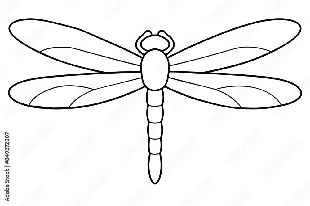 Dragonfly line art vector illustration Dragonfly line art vector illustration