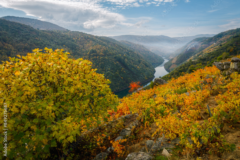 The Sil River meanders between golden vineyards and deciduous forests