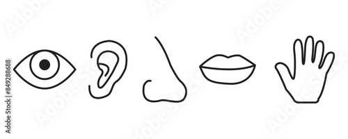 Five human senses icon set. Eye, nose, ear, hand, mouth with tongue sign. Sight, smell, hearing, touch, taste concept. Vector on isolated white background