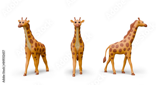 Vector giraffe in realistic style, view from different sides. Wild herbivore