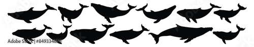 Whale silhouettes set, pack of vector silhouette design, isolated background