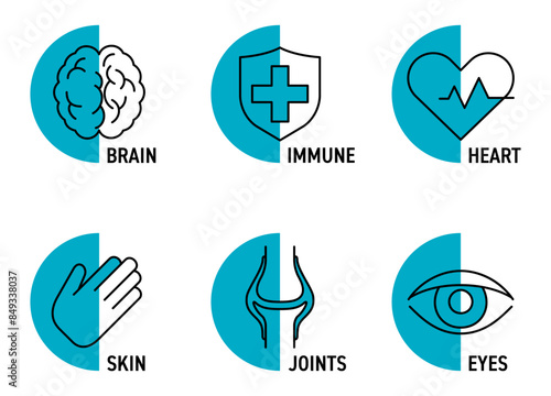 Nutrient supplements - semicircle icons set