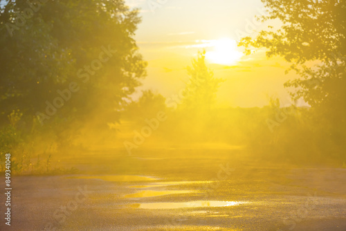 closeup asphalt road in light of sparkle evening sun