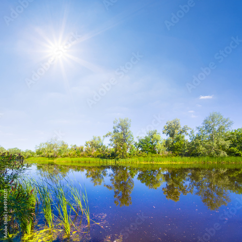 calm summer river with forest on coast under a sparkle sun
