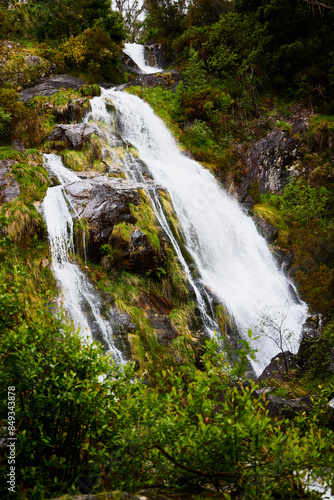 River and waterfalls. Landscape of a forest with a small river, rocks and a walkway