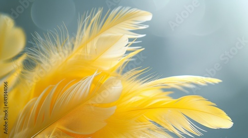 Golden Yellow Feathers on Abstract Gray Artwork
