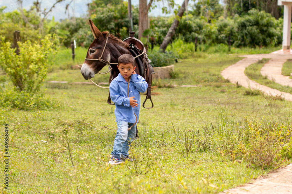 lifestyle: boy with down syndrome walks in the field herding his favorite donkey lifestyle: boy with down syndrome walks in the field herding his favorite donkey