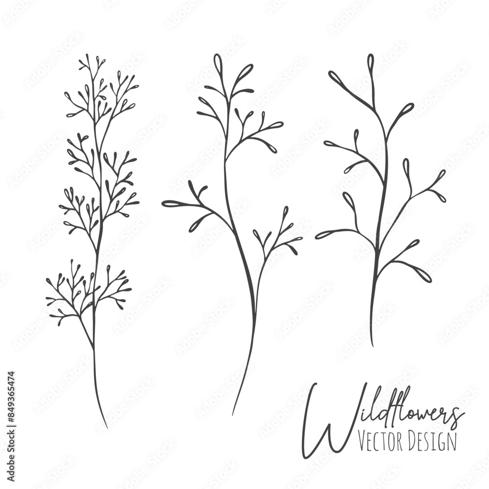 Fototapeta premium Set of line art wildflowers and grass illustration. Handdrawn botanical contour outline of for wedding, invitation, save the date, card. Trendy elegant greenery collection for web, print, posters.