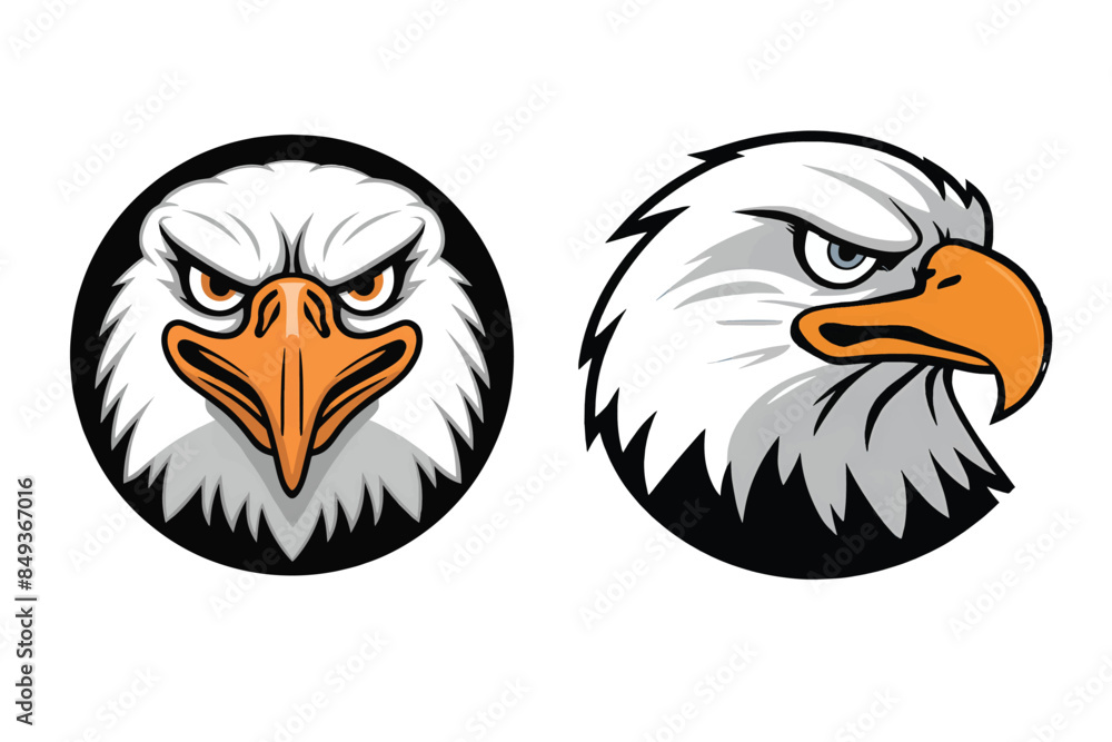 Obraz premium angry looking eagle, only eagle's face