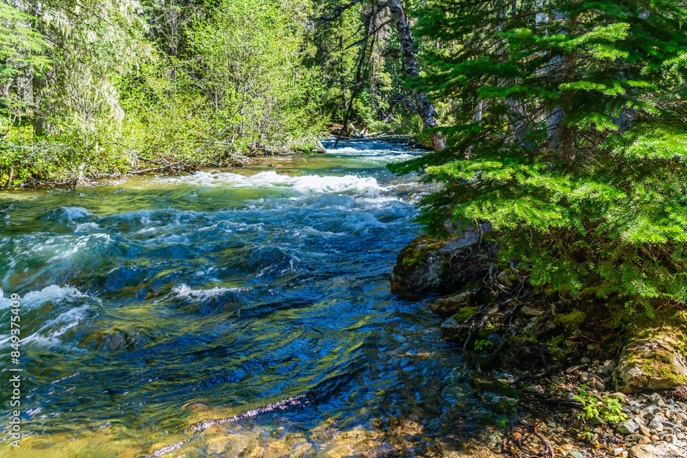 Chinook Pass Cold Stream 4 Chinook Pass Cold Stream 4