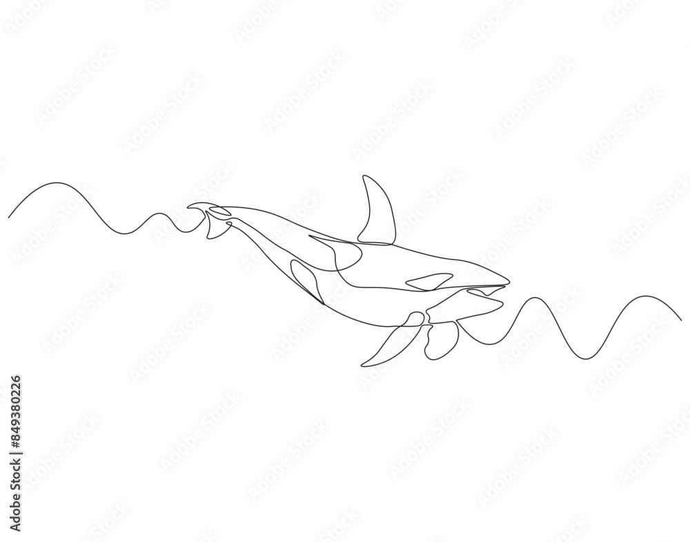 Continuous one line drawing of orca whale. One line drawing illustration of whale killer fish. World aquatic animal day concept continuous line art. Editable outline. Continuous one line drawing of orca whale. One line drawing illustration of whale killer fish. World aquatic animal day concept continuous line art. Editable outline.