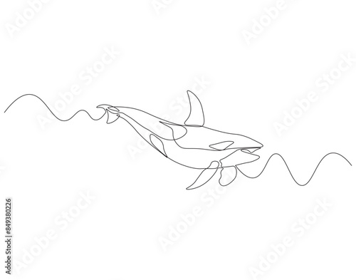 Continuous one line drawing of orca whale. One line drawing illustration of whale killer fish. World aquatic animal day concept continuous line art. Editable outline.