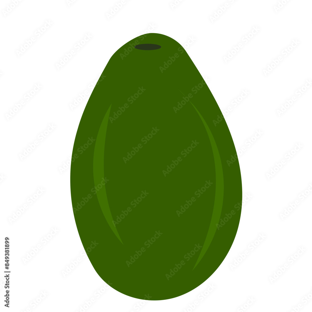 illustration of Avocado illustration of Avocado