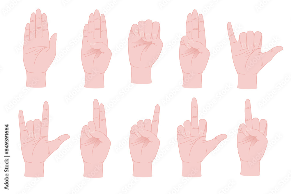 Set of human hand palm gestures vector illustration isolated on white background Set of human hand palm gestures vector illustration isolated on white background