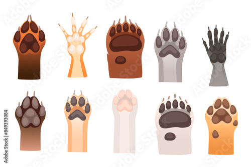 Set of different animal paw fox bear rabbit wolf and others simple cartoon style vector illustration isolated on white background