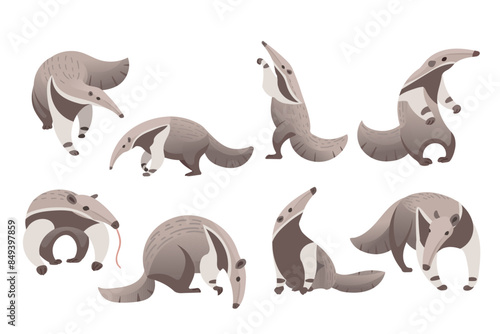 Set of cute Anteater mammal cartoon animal design vector illustration isolated on white background