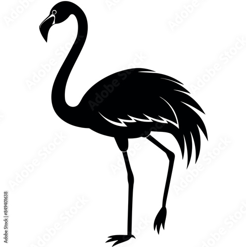 flamingo silhouette vector illustration Design on white background photo