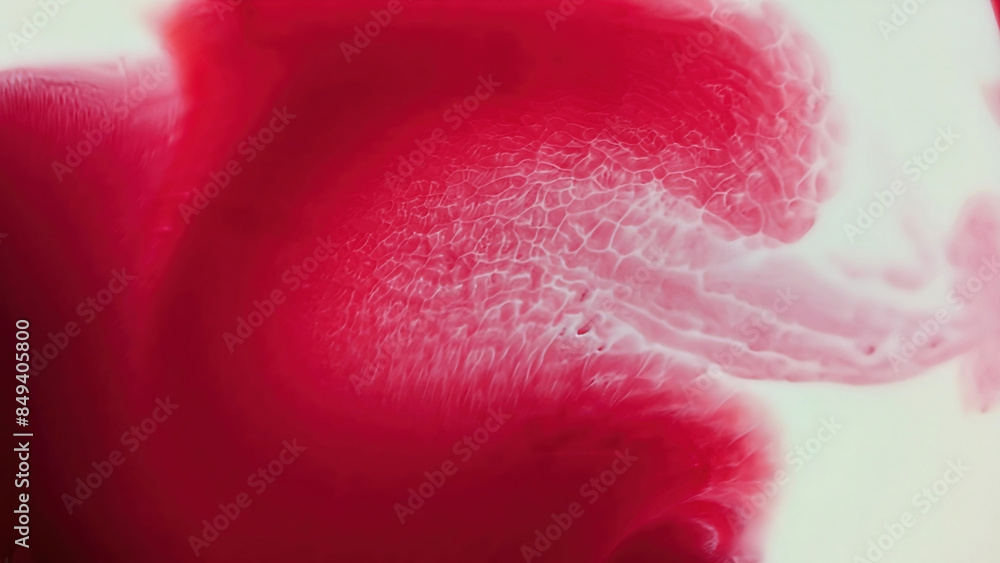 Fototapeta premium Abstract paint background. Acrylic paint texture, liquids mix. Creative multicolor background. Bright colors fluid, flowing wallpaper design. Colors pigments