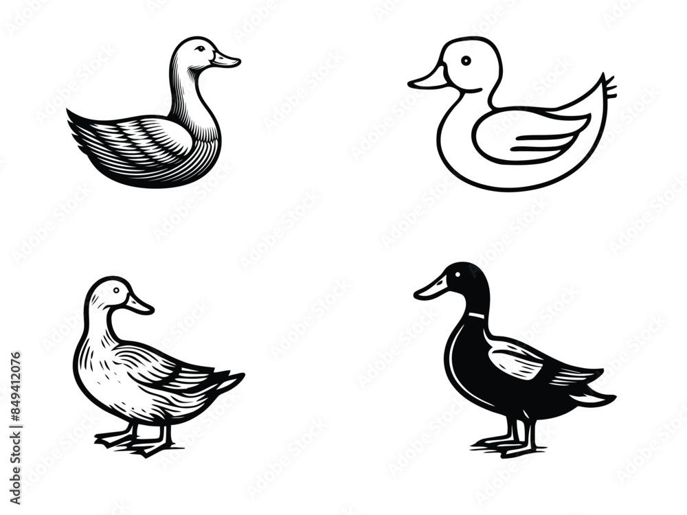 Duck line art illustrations. Duck line art illustrations.