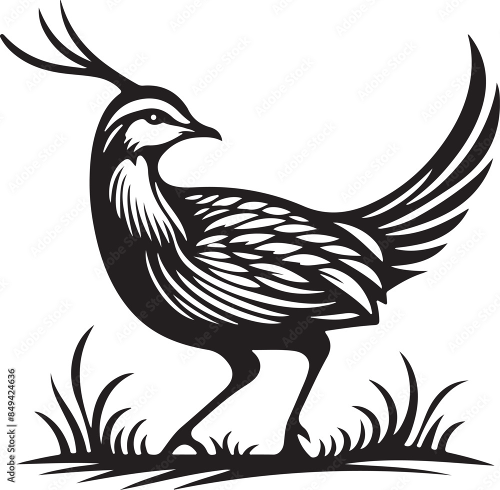 Fototapeta premium black and white bird