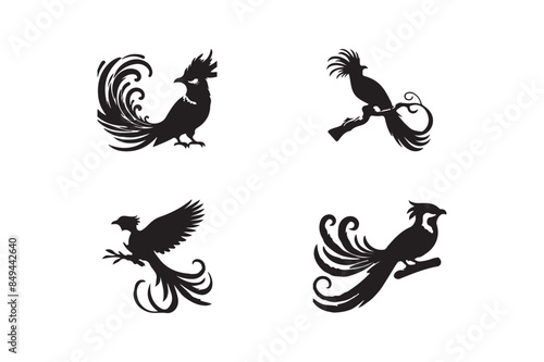 Set of quetzal bird silhouette vector illustration.