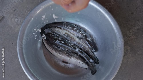 Sprinkling Salt on Fresh Fish for Grilling Preparation - Traditional Cooking