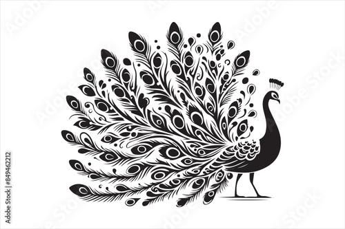 Peacock Black and white vector, Silhouette illustration logo