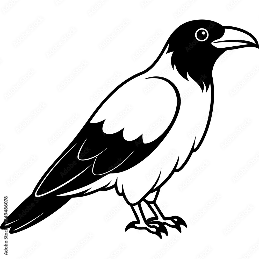 Fototapeta premium solid-black-outline-common-raven-animal-vector