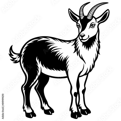 solid-black-outline-goral-animal-vector