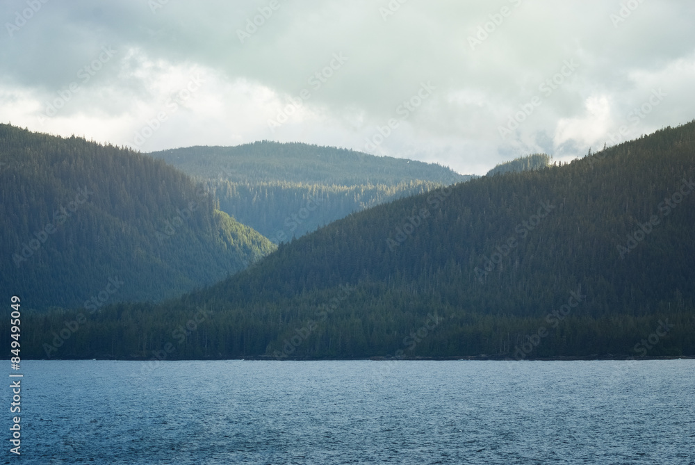 Forest Hills Overlooking the Water in Ketchikan Forest Hills Overlooking the Water in Ketchikan