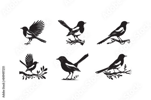 Set of magpie-robin silhouette vector illustration.