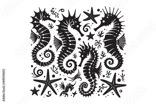 Seahorses and starfish silhouette Vector Illustration 