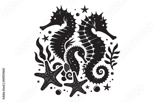 Seahorses and starfish silhouette Vector Illustration 