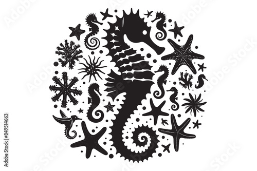 Seahorses and starfish silhouette Vector Illustration 