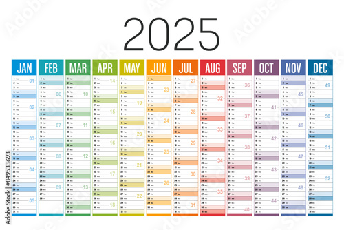 Year 2025 colorful wall calendar on white background, English language, vector template