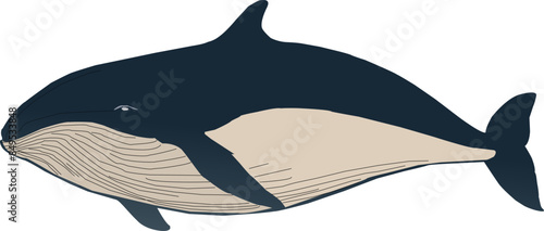 Print humpback whale silhouette design Whale icon set. Cartoon set of whale vector icons for web design Group of sea creatures Humpback whales Sea life, whales, dolphins icons