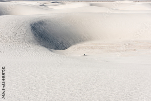 Shifting Dunes at White Sands National Park