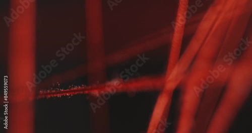 String theory in the universe. Visualization of a scientific concept