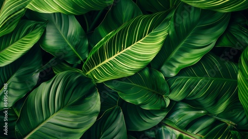 Emerald foliage texture, nature backdrop, verdant leaf