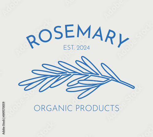Hand-drawn vector rosemary illustration. Line art, retro. Plants and herbs for cosmetics. Logo template.