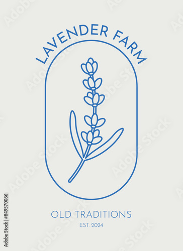 Hand drawn vector lavender illustration. Line art, retro. Plants and herbs for cosmetics. Logo template.