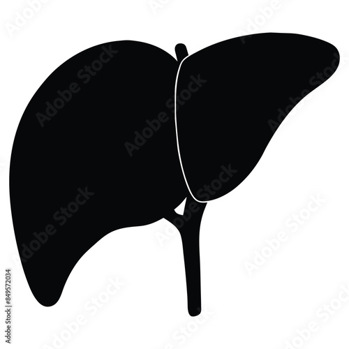 Vector illustration of human liver silhouette in black, medical anatomy icon for healthcare, educational, and scientific purposes